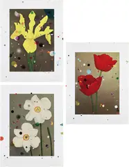 Sebastiaan Bremer, Hollandse Iris Prinses Beatrix; Narcissus Poeticus Sarchedon; and Darwin Tulip Charles Needham, from Bloemen, 2017, Three archival inkjet prints in colors with hand-coloring, cut-outs, mirror mylar and mylar confetti collage, on Hahnemühle German Etching paper, the full sheet