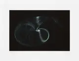 Agnes Denes, The Ghost of Nautilus: The Soul of an Image, 2014, Archival inkjet print in colors, on Hahnemühle German Etching paper, with full margins