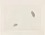 Kiki Smith, Untitled (Bird and Butterfly) (W. 98), 1998, Etching and aquatint, on Rives Lightweight paper, with full margins