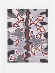 Fred Tomaselli, Bloom #12, from The Floral Ghost, 2014, Photogram and screenprint in colors, on wove paper, with full margins