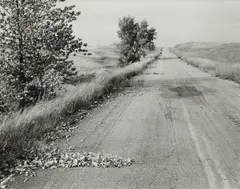 Robert Adams, Nebraska State Highway 2, Box Butte County, Nebraska, 1978, Gelatin silver print, printed 1989