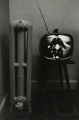 Lee Friedlander, Florida, 1963, Gelatin silver print, printed later