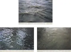 Roni Horn, Still Water (The River Thames, For Example), D, O, I, 1999, Three offset lithographs