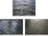 Roni Horn, Still Water (The River Thames, For Example), D, O, I, 1999, Three offset lithographs
