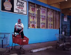 Taryn Simon, Ronald Jones, Scene Of Arrest, Southside, Chicago, Illinois, Served 8 years of a death sentence for Murder and Rape, 2002, Chromogenic print