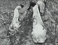 Ben Shahn, Cotton Pickers, Pulaski County, Arkansas, 1935, Gelatin silver print, printed later