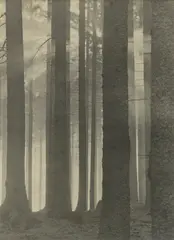 Sonnenstrahlen by Albert Renger-Patzsch, 1920, Gelatin silver print, sold Apr 2024