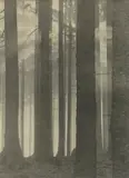 Albert Renger-Patzsch, Sonnenstrahlen