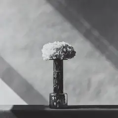 Robert Mapplethorpe, Carnations, 1982, Gelatin silver print, printed 1982