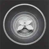 Orchid by Robert Mapplethorpe, 1988, Gelatin silver print, sold Apr 2024