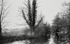 Richard Learoyd, The River Stour from Deadman's Bridge near Flatford (Winter), 2013, Gelatin silver print, flush-mounted
