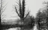 Richard Learoyd, The River Stour from Deadman's Bridge near Flatford (Winter), 2013, Gelatin silver print, flush-mounted