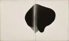 Alison Rossiter, Fuji, expiration c.1930s, processed 2010, 2010, Two unique gelatin silver prints, tipped together to board