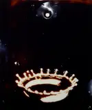Vik Muniz, Milk Drop, After Harold Edgerton from Pictures of Chocolate, 1997, Dye destruction print, flush-mounted and mounted again