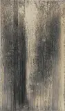 Matthew Brandt, AgXID9A from Silver