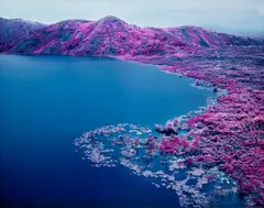 Richard Mosse, Beaucoups Of Blues, North Kivu, Eastern Congo, November, 2012, Chromogenic print