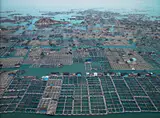 Edward Burtynsky, Marine Aquaculture #1, Luoyuan Bay, Fujian Province, China