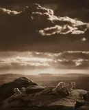 Nick Brandt, Cheetah and Cubs Lying on Rock, Serengeti, 2007, Archival pigment print