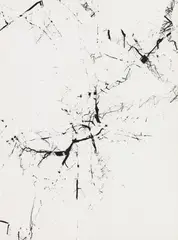 Michigan (tree abstraction, multiple exposure) by Harry Callahan, circa 1943, Gelatin silver print, offered Apr 2024