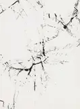 Harry Callahan, Michigan (tree abstraction, multiple exposure)