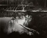 Siesta Lake, Yosemite National Park, California by Ansel Adams, 1958, Gelatin silver print from Portfolio Four: What Majestic Word. In Memory of Russell Varian , printed 1963, sold Apr 2024
