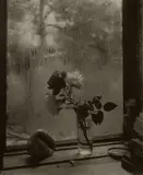 Josef Sudek, Window of My Studio (roses and shell)