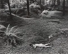 Child in Forest by Wynn Bullock, 1951, Gelatin silver print, printed 1960s, sold Apr 2024
