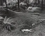 Wynn Bullock, Child in Forest