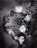 Minor White, Beginnings, Frosted Window, Rochester