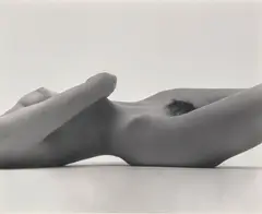 Nude by Irving Penn, 1949, Gelatin silver print, printed 1949-1950, sold Oct 2024