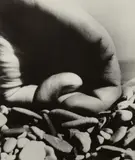 East Sussex by Bill Brandt, 1958, Gelatin silver print on museum box, sold Oct 2024