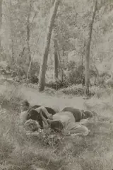 Idyll in the Woods, Spain by Robert Frank, 1951, Gelatin silver print, printed no later than 1953, sold Oct 2024