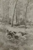 Robert Frank, Idyll in the Woods, Spain