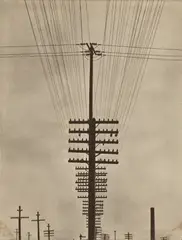 Tina Modotti, Telegraph Wires, circa 1925, Platinum print