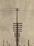 Tina Modotti, Telegraph Wires, circa 1925, Platinum print