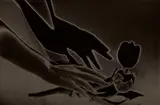 Francis Bruguière, Hand and Tulips, circa 1936-1940, Gelatin silver print
