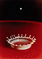 Milk Drop Coronet by Harold Eugene Edgerton, 1957, Dye transfer print, printed 1970s, sold Oct 2024