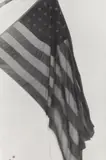 Diane Arbus, Drooping American flag, N.Y.C.