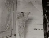Francesca Woodman, Untitled (self-portrait in curtain)