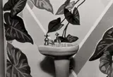 Laurie Simmons, Sink/Ivy Wallpaper