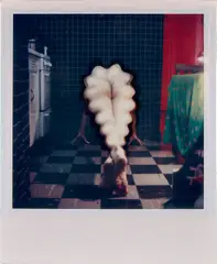 Photo-Transformation, 7/29/76 by Lucas Samaras, 1976, Unique Polaroid SX-70 print, sold Oct 2024