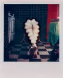 Lucas Samaras, Photo-Transformation, 7/29/76