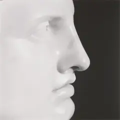 Apollo by Robert Mapplethorpe, 1988, Gelatin silver print, printed 1988, sold Oct 2024