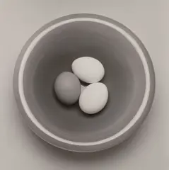Robert Mapplethorpe, Eggs, 1989, Gelatin silver print, printed 1989