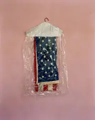 Mitch Epstein, Flag, 2000, Chromogenic print, printed 2024