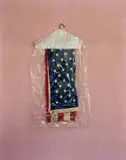 Mitch Epstein, Flag, 2000, Chromogenic print, printed 2024