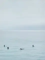 Surfers by Catherine Opie, 2019, Pigment print, sold Oct 2024