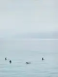 Catherine Opie, Surfers