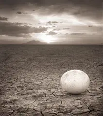 Abandoned Ostrich Egg, Amboseli by Nick Brandt, 2007, Archival pigment print, offered Oct 2024