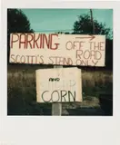 Walker Evans, Untitled (roadside signs, fruit and vegetable stand), September 1, 1974, Unique Polaroid SX-70 print